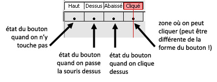 Les états du bouton